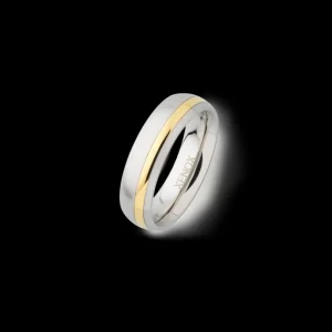 XENOX Partnerringe | Ringe^Partnerring aus Edelstahl goldfarben