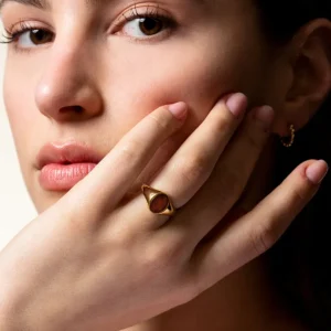 XENOX Ringe^TREASURES Ring 925/- Sterlingsilber mit rotem Tigerauge, 18k Vergoldung goldfarben