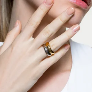 XENOX Ringe^TWO TONE Ring 925/- Sterlingsilber, 18k Vergoldung gold/silberfarben