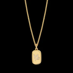 XENOX Halsketten^ZODIAC Steinbock Halskette 925/- Sterlingsilber, 18k Vergoldung